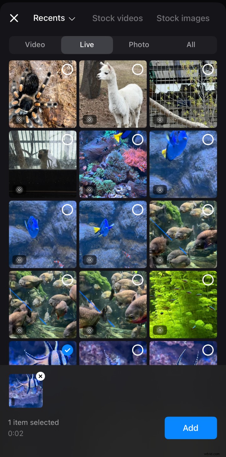 Convert Live Photos to Videos: A Simple Guide