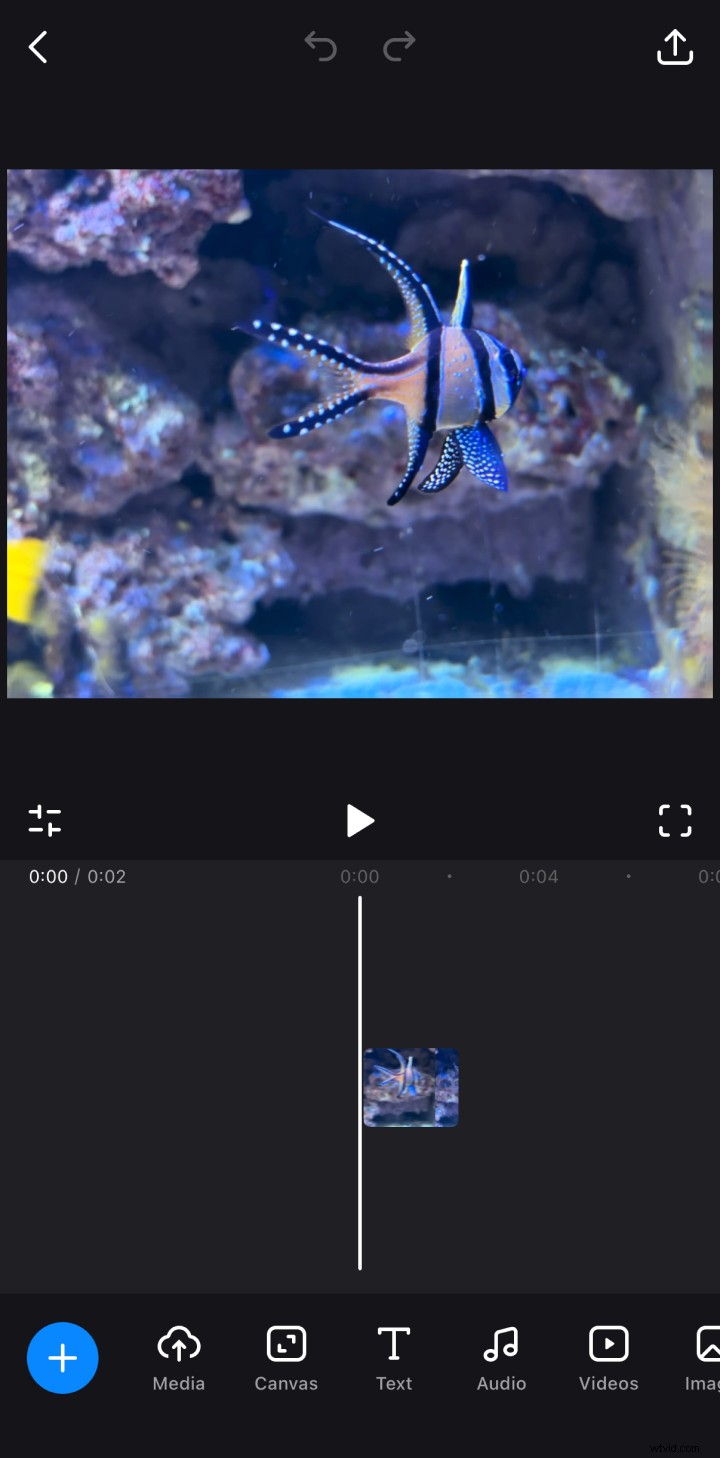 Convert Live Photos to Videos: A Simple Guide