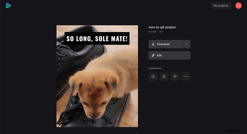 Turn MOV to GIF on Apple Devices: Quick, Reliable Methods