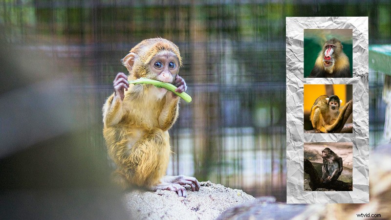 Mastering Picture-in-Picture (PIP) Videos: A Comprehensive Guide