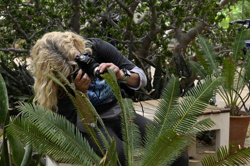 Mastering Natural Light in Photography: A Comprehensive Guide