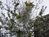 Sony a6000 Review: Compact Camera with Outstanding Low‑Light Performance – Sample Gallery