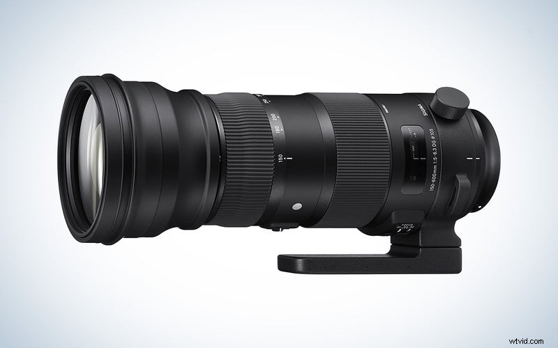 2023 Guide to Nikon’s Top Telephoto Lenses: Mirrorless & DSLR Picks