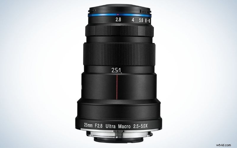 Canon Macro Lenses 2023: Top Picks for DSLR & Mirrorless