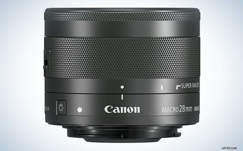 Canon Macro Lenses 2023: Top Picks for DSLR & Mirrorless