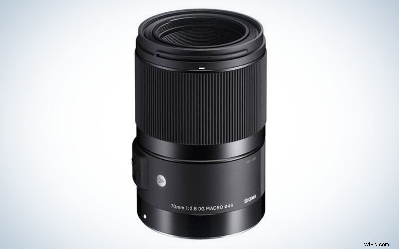 Canon Macro Lenses 2023: Top Picks for DSLR & Mirrorless