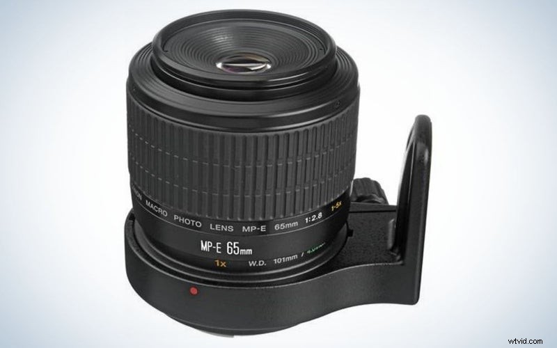 Canon Macro Lenses 2023: Top Picks for DSLR & Mirrorless
