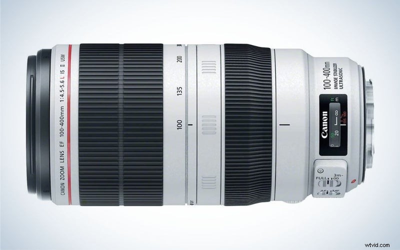 Top Bird Photography Lenses of 2023