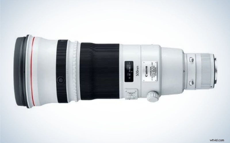 Top Bird Photography Lenses of 2023