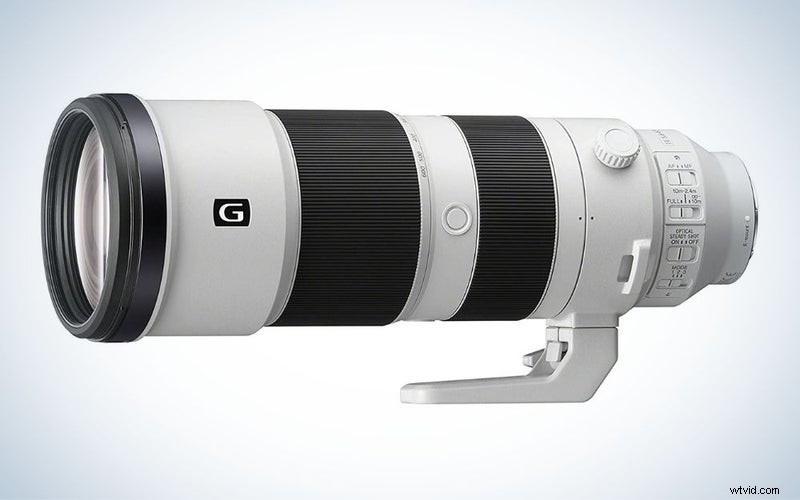 Top Bird Photography Lenses of 2023