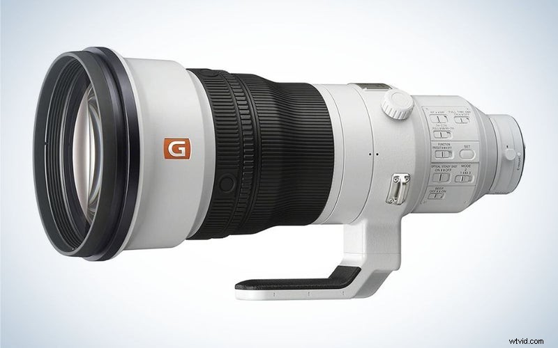 Top Bird Photography Lenses of 2023