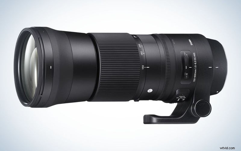 Top Bird Photography Lenses of 2023