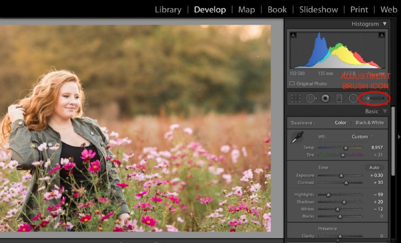 Master Lightroom’s Adjustment Brush: Expert Tips & Presets