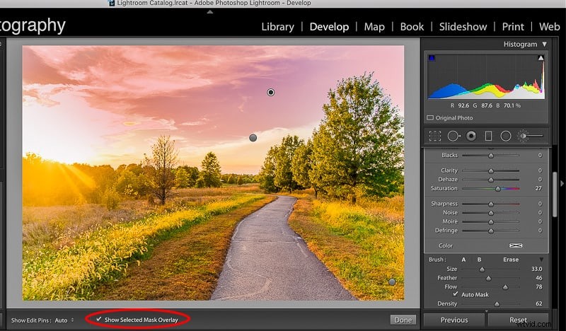Master Lightroom’s Adjustment Brush: Expert Tips & Presets