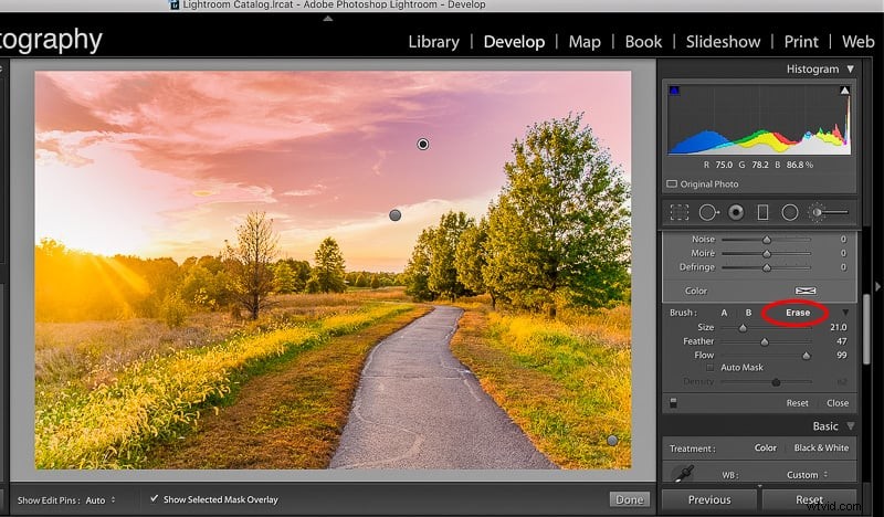 Master Lightroom’s Adjustment Brush: Expert Tips & Presets