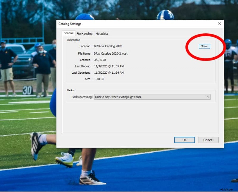 Where Are Lightroom Presets Stored? A Practical Guide
