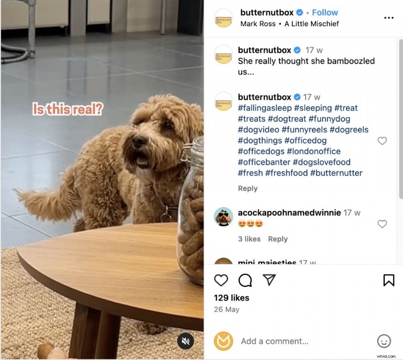 17 Proven Instagram Reels Strategies to Elevate Your Business