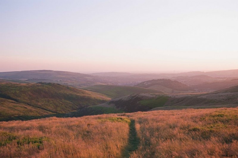 Choosing the Right Film for Every Shoot: A Practical Guide