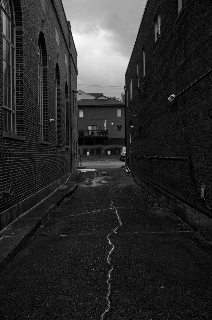 Leica M11 Monochrom: A Month of Pure Black‑and‑White Photography