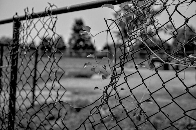 Leica M11 Monochrom: A Month of Pure Black‑and‑White Photography