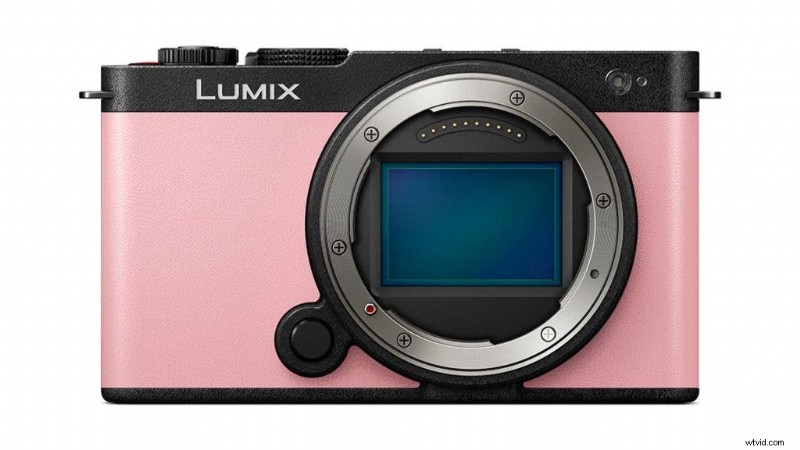 Choosing Your First Mirrorless Camera: Expert Tips for Photographers