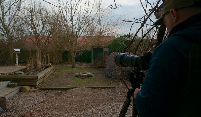 Ultimate Backyard Bird Photography: Gear, Setup, and Settings for Stunning Results