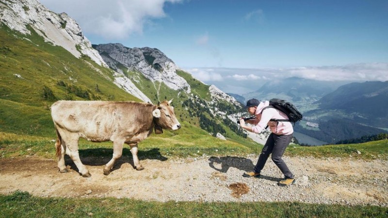 Top 10 Travel Videography Pitfalls—and How to Avoid Them