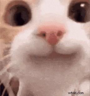 Master GIF Optimization: Boost Quality & Shrink File Size