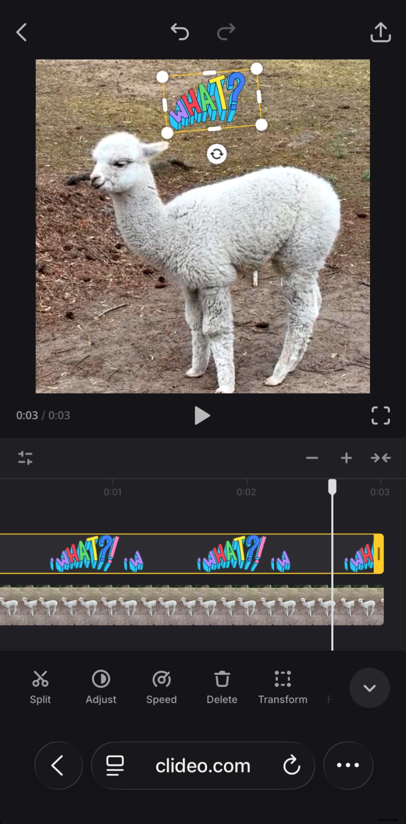 Create GIFs from Your iPhone Videos in Minutes – Step‑by‑Step Guide