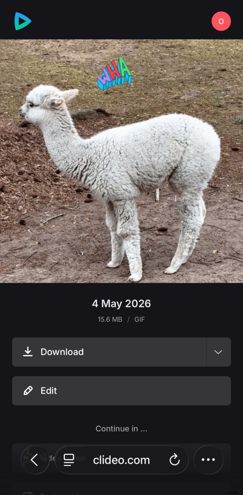 Create GIFs from Your iPhone Videos in Minutes – Step‑by‑Step Guide